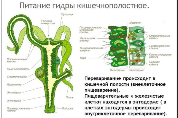 Сайт мега даркнет как зайти